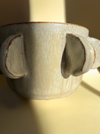 Handmade Ceramic Indoor Planter with Drainage, Ceramic Planter Gift